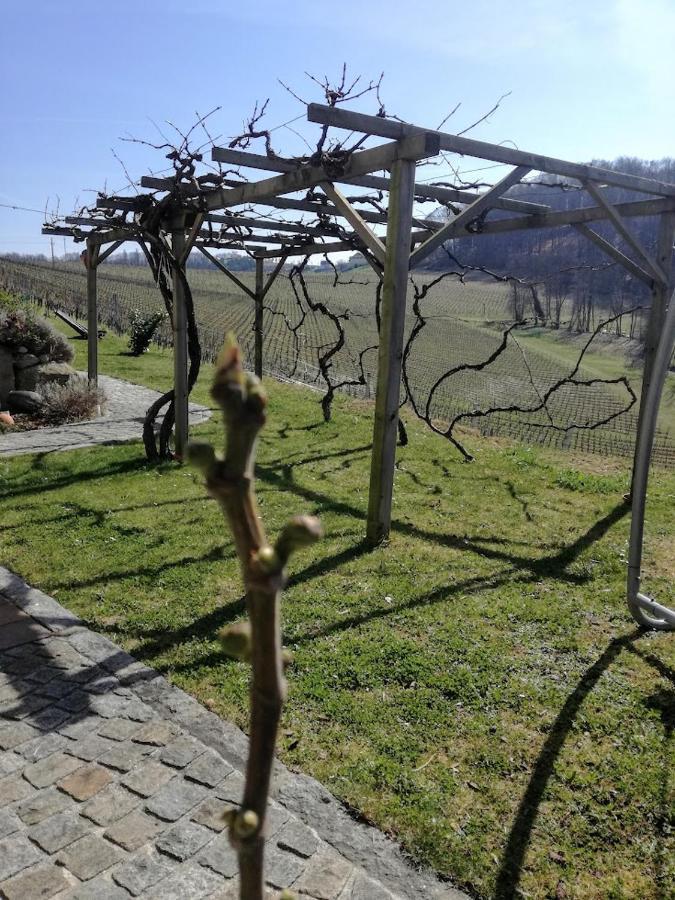 Das Weinberghaus Ratsch an der Weinstraße Eksteriør bilde