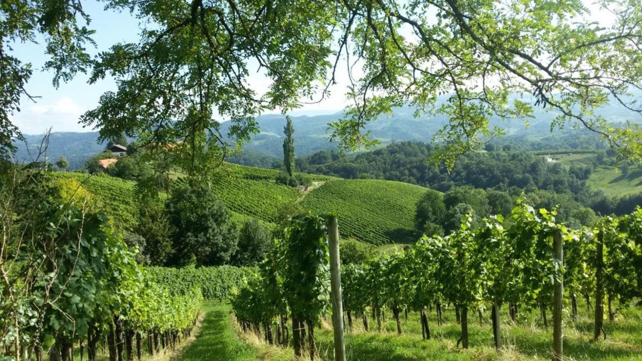 Das Weinberghaus Ratsch an der Weinstraße Eksteriør bilde