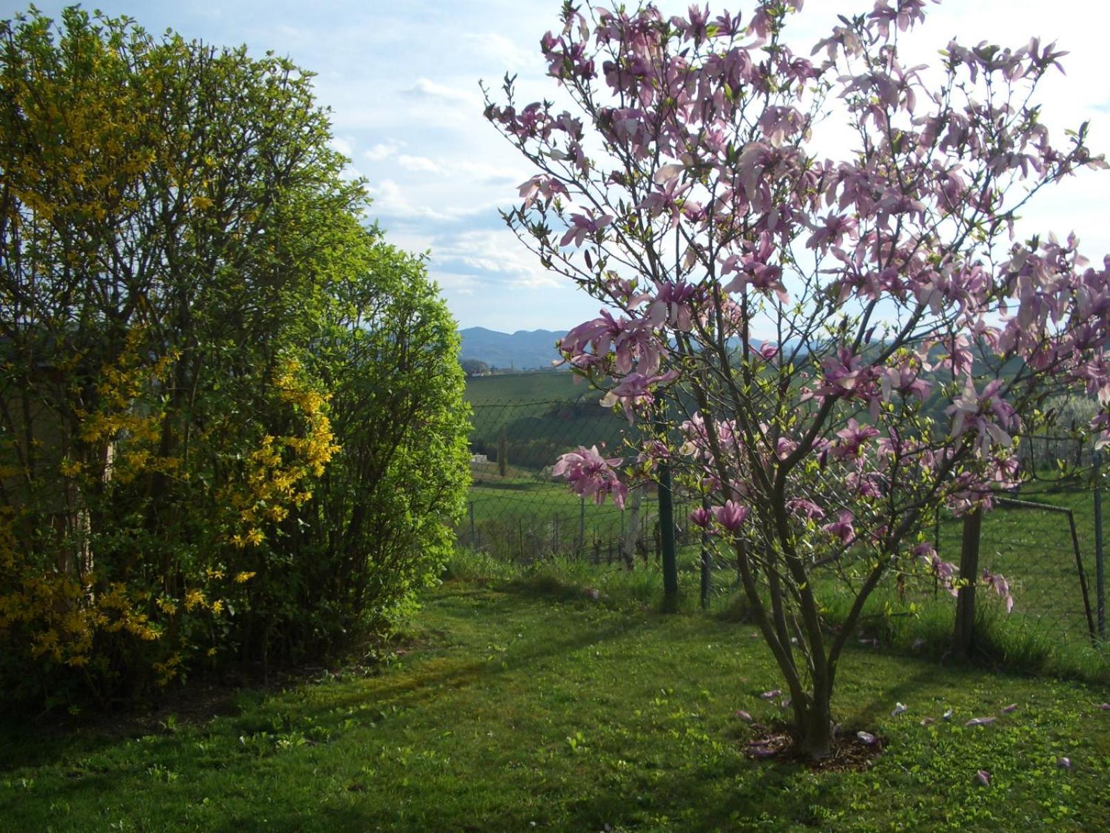 Das Weinberghaus Ratsch an der Weinstraße Eksteriør bilde