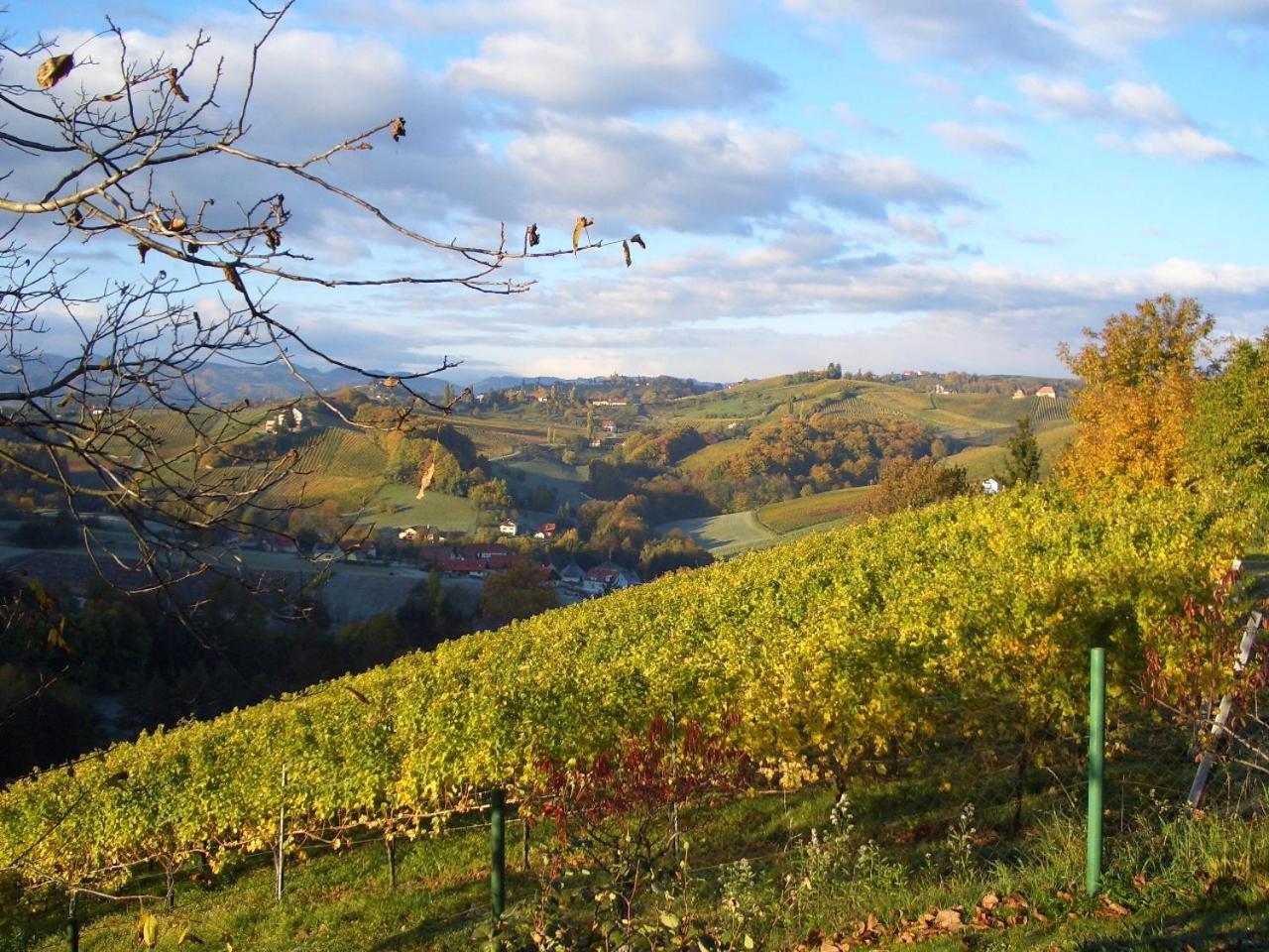 Das Weinberghaus Ratsch an der Weinstraße Eksteriør bilde