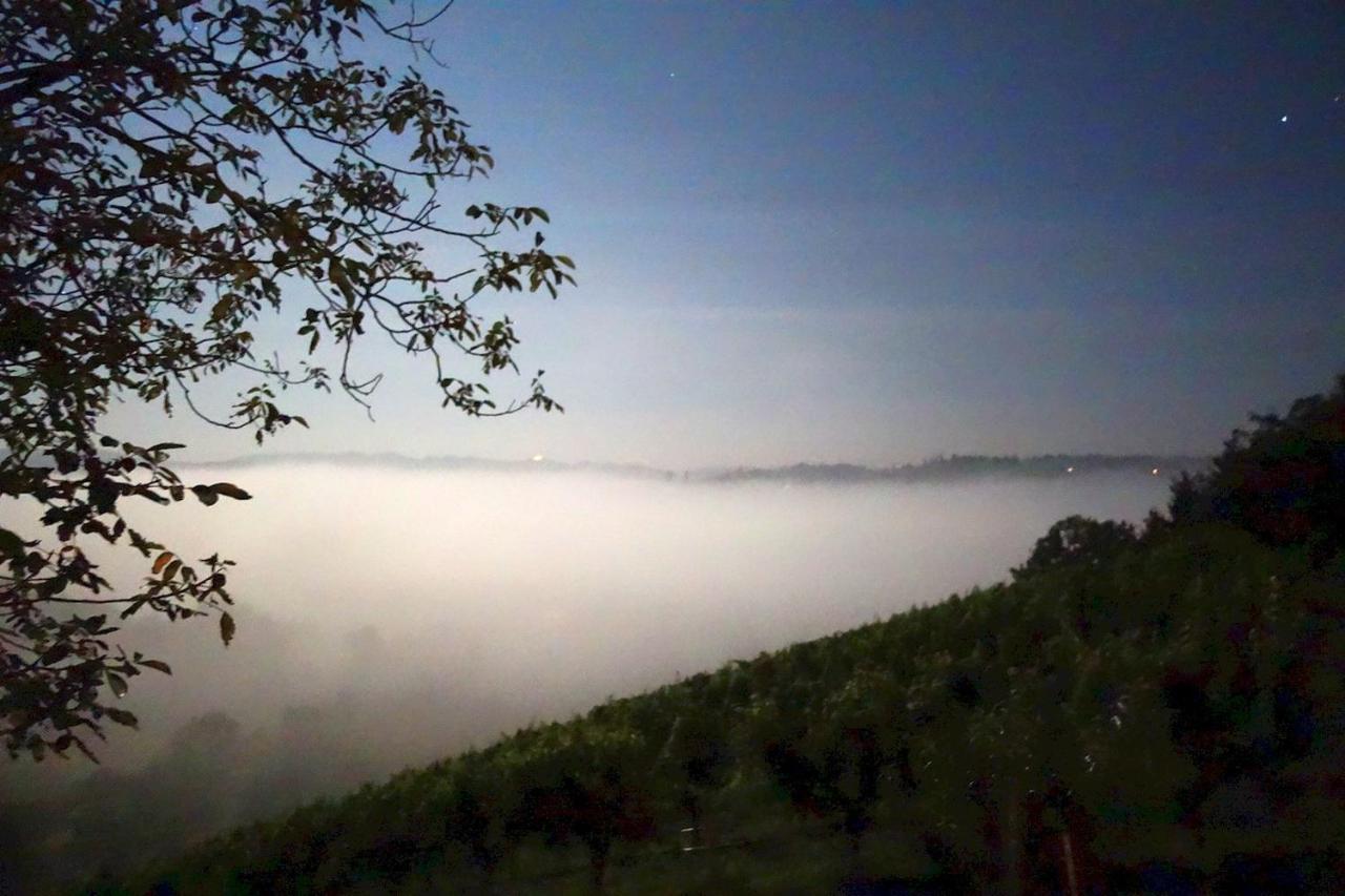 Das Weinberghaus Ratsch an der Weinstraße Eksteriør bilde